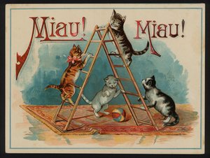 Miau! Miau!